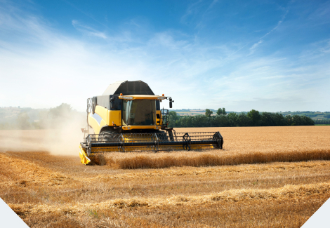 Máquina agrícola realizando colheita | Rumo