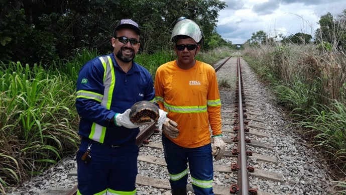 Dois trabalhadores com uniformes de segurança e faixas refletivas sobre os trilhos de trem; um deles segura uma tartaruga nas mãos, vegetação ao fundo.