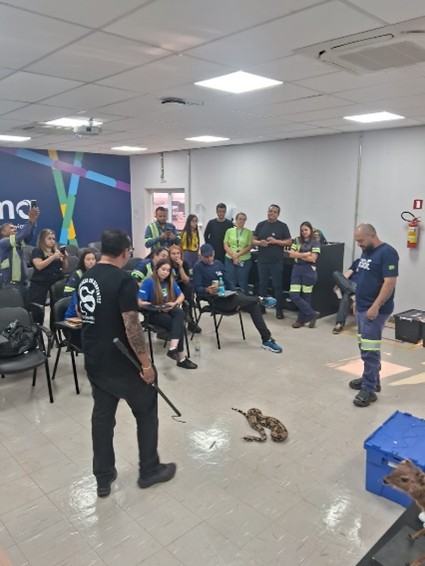Demonstração prática de manejo de répteis em sala: instrutor manipula uma cobra no chão enquanto participantes observam em círculo.