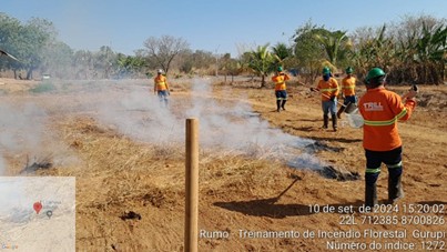 Equipe de colaboradores com roupas laranjas, realizando treinamento de combate a incêndio em área rural com vegetação seca, com fumaça ao fundo.